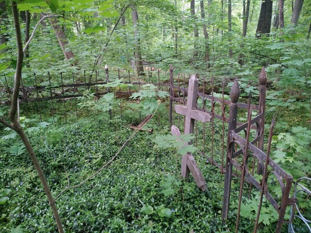 фото с сайта https://clck.ru/h3fpe