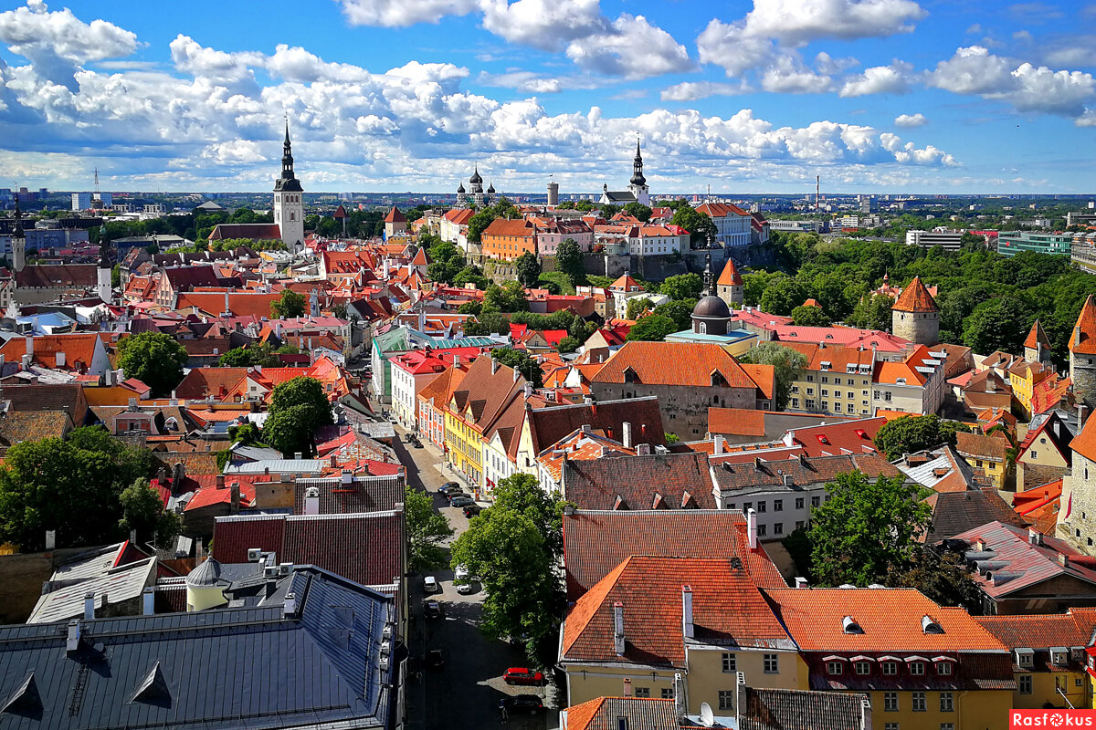 фото из интернета