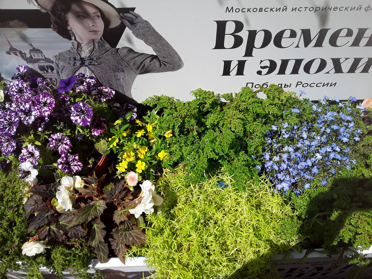 Фота плаката фестиваля