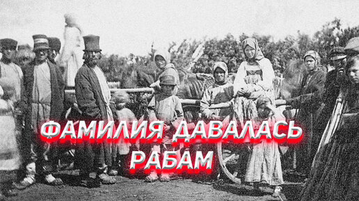 Председатель снт нива