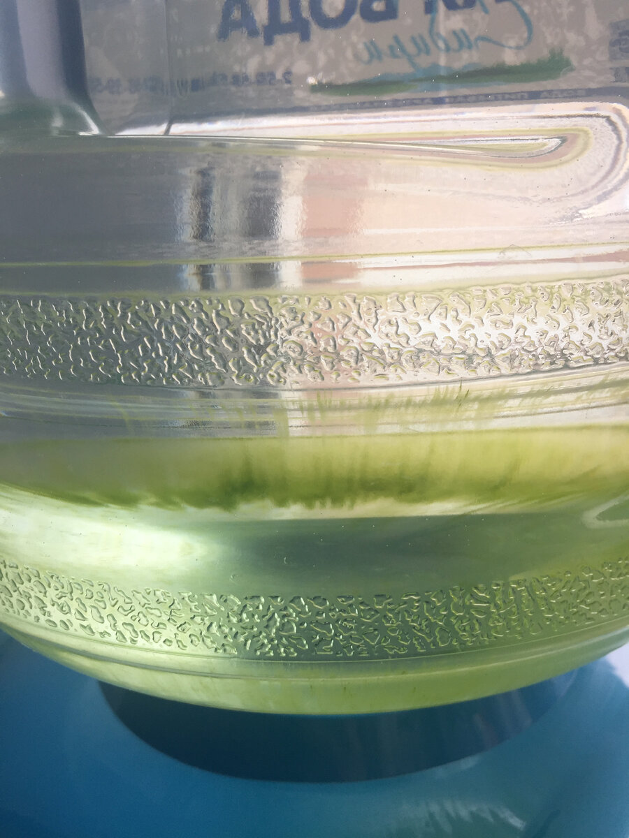 зелень в бутилированной воде