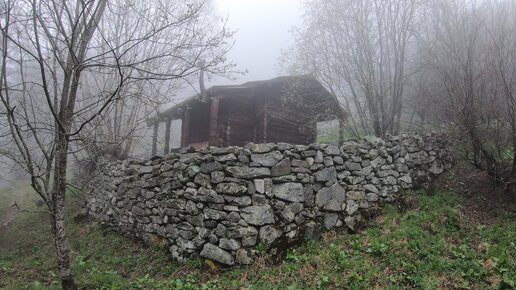 Северная Осетия Алания Цейское ущелье