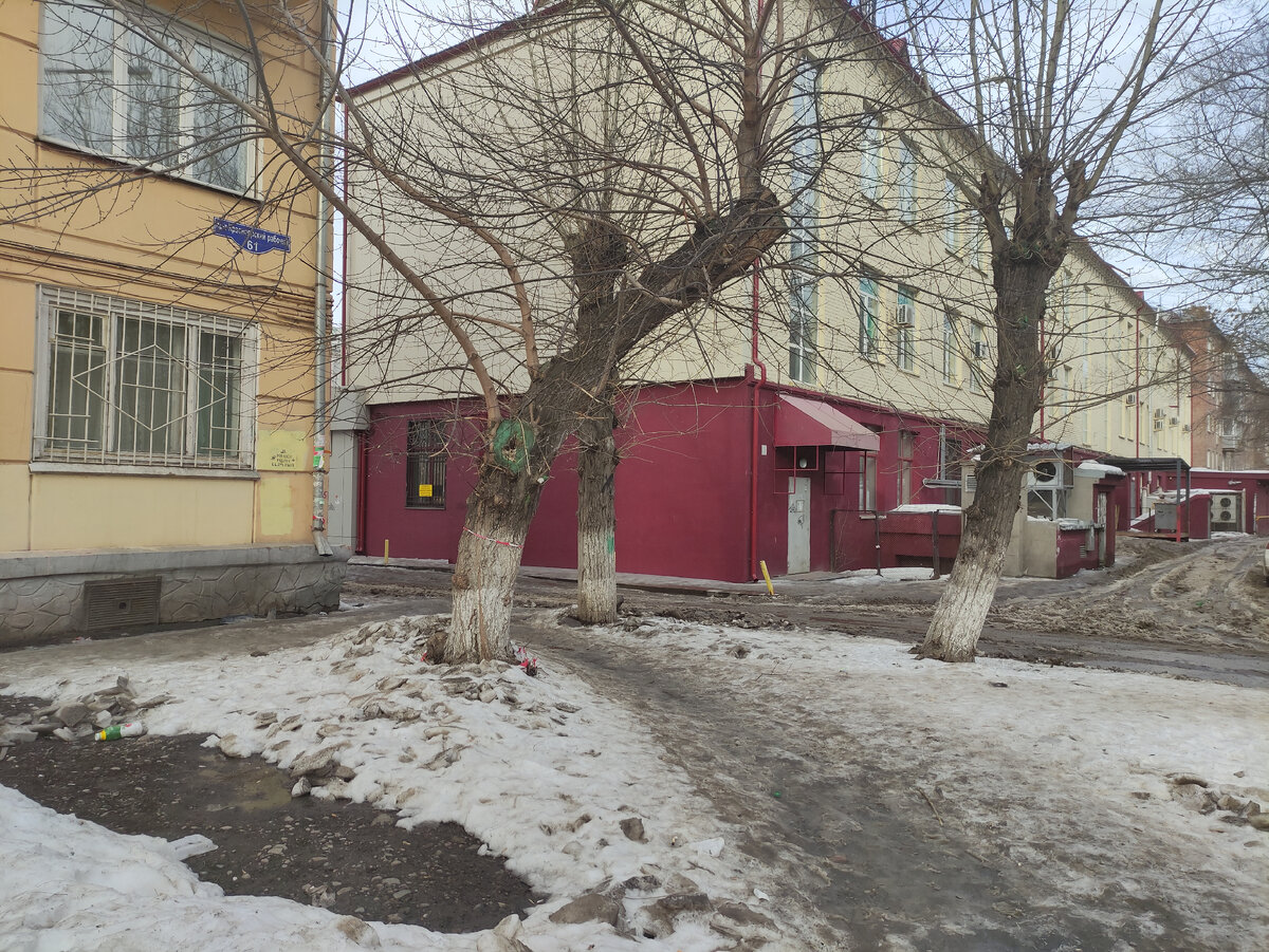 Так зимой выглядят Красноярские больные деревья