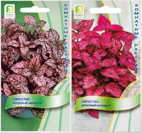 Покупала на Wildberries 