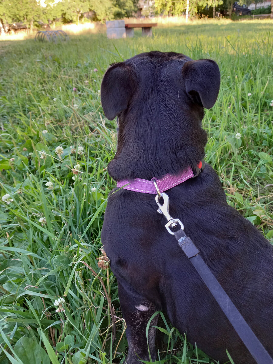 Боня, 7 месяцев