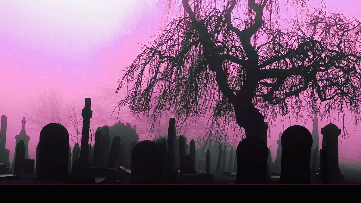 Яндекс Картинки