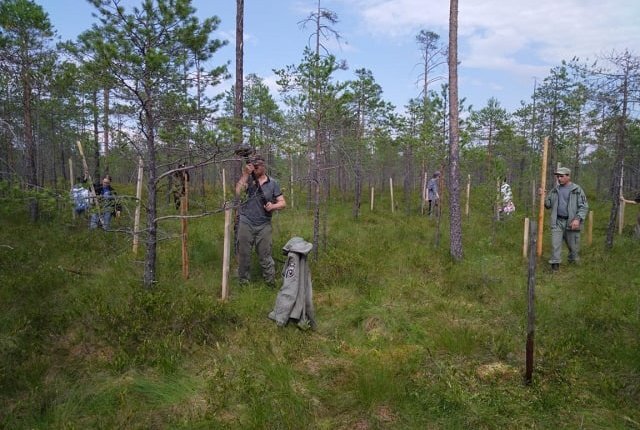Фото: "Керженский заповедник"