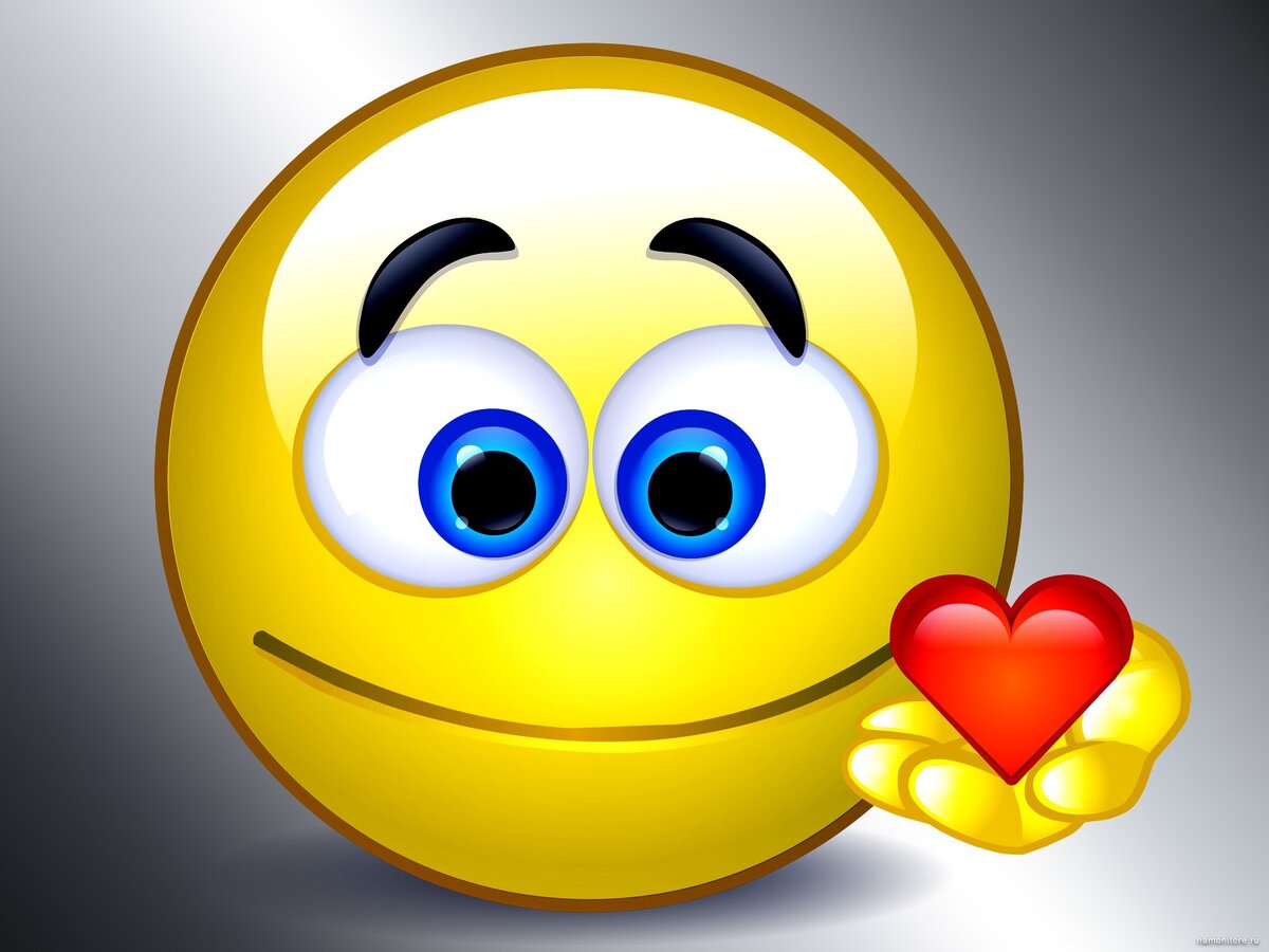 Изображение взято из открытых источников