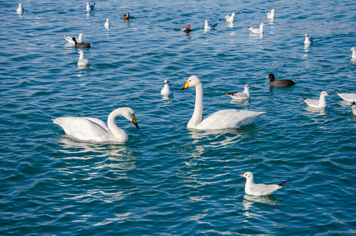 Чёрное море.