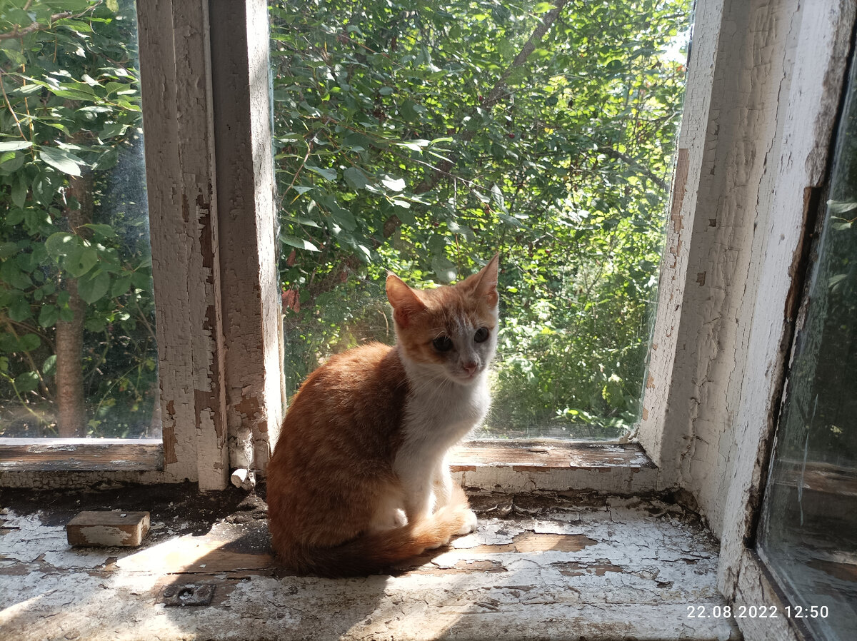 Красивая картина! 