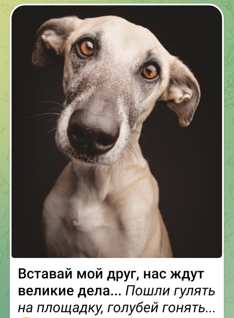 Все фото в открытом доступе