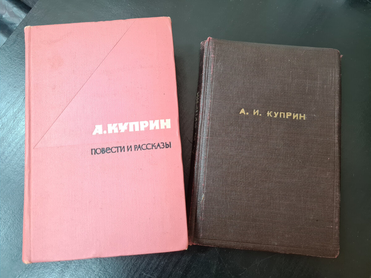 Литературный музей получил в подарок два издания с сочинениями писателя-земляка Александра Куприна.