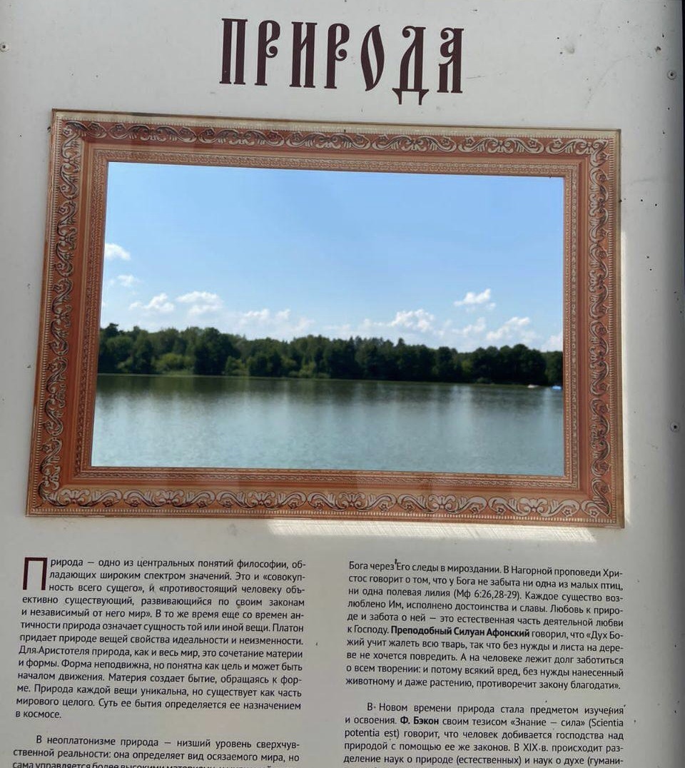 Живая картина с видом на озеро 