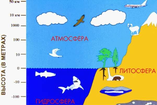 Оболочки Земли 