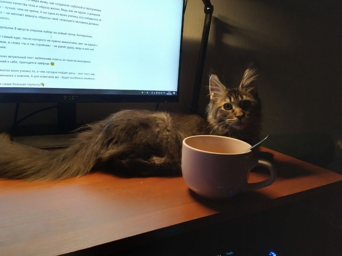 Разве я тебе мешаю? Я же котенька!
