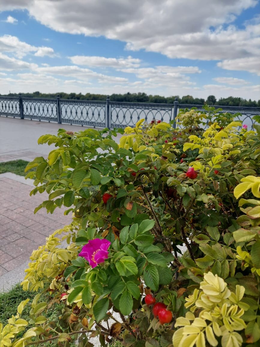 Набережная Астрахани. Рыбу можно начинать ловить здесь