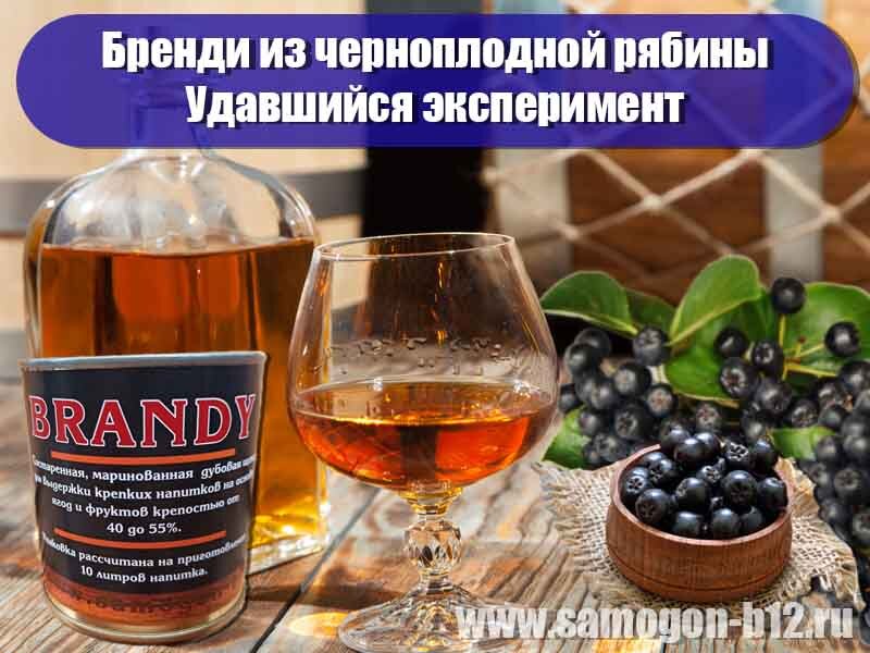 Бренди из черноплодной рябины на маринованной щепе. Коллаж автора ©