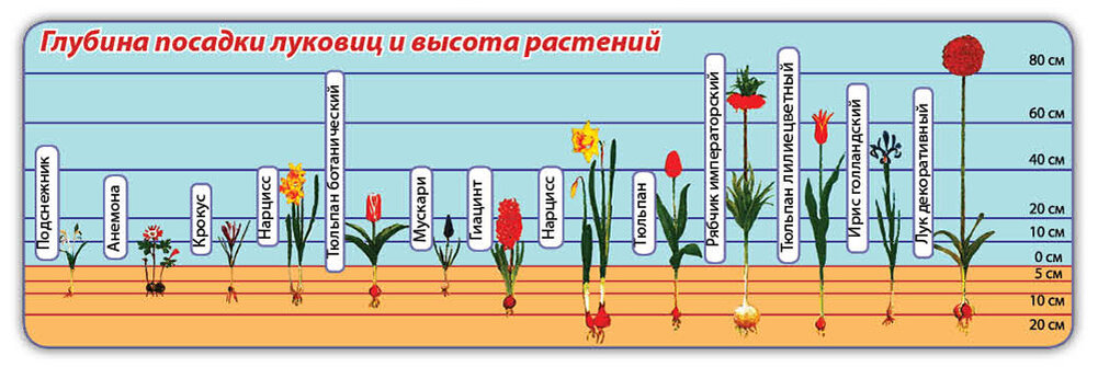 Вот как это выглядит