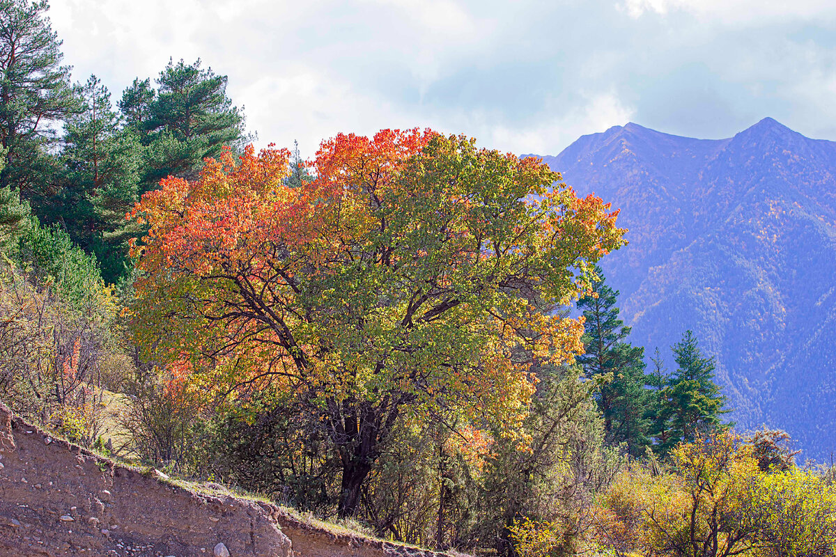 Все цвета осени Уллу-Кама 
