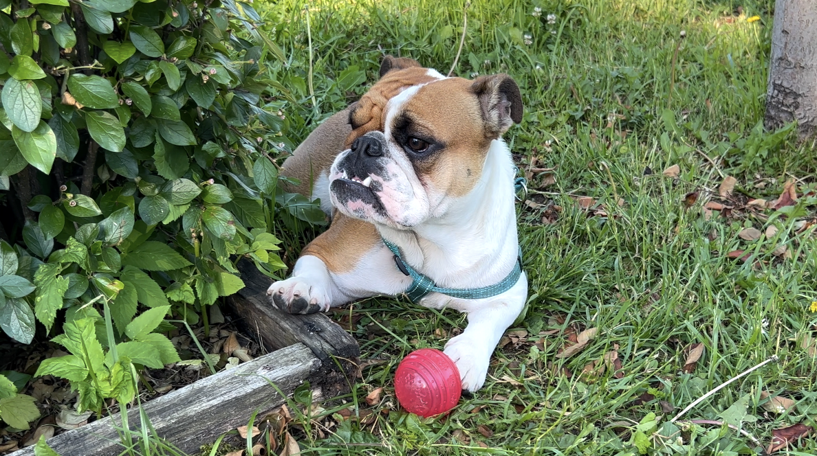 Черри делает вид, что ей все равно! Все эмоции в сторону!