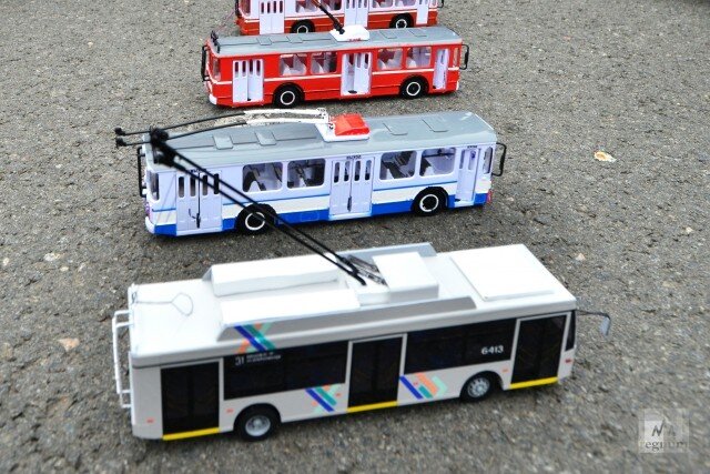    Троллейбус Юлия Карнаева © ИА REGNUM