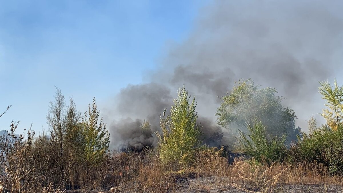    Пожарные не допустили переход огня на жилые дачи орчан Марина Шарт