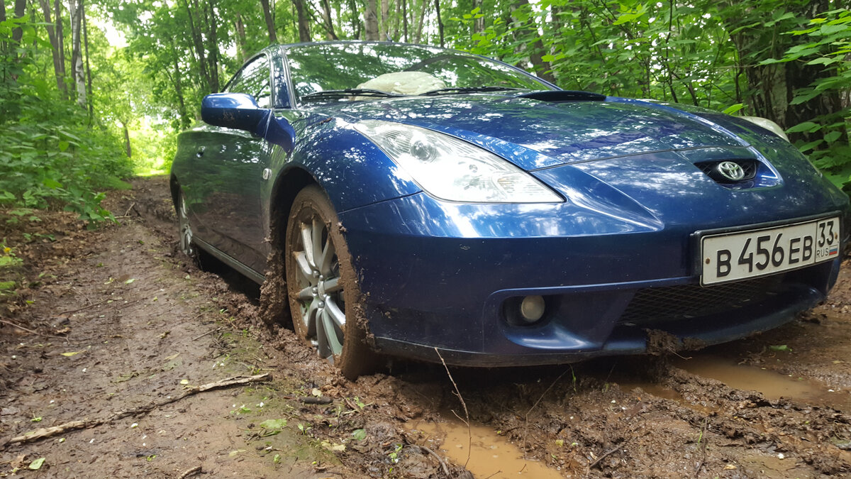 фото https://a.d-cd.net/