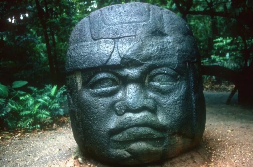 Фото взято из открытого источника и принадлежит их авторам.