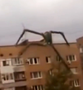 Палочник на момент обнаружение.