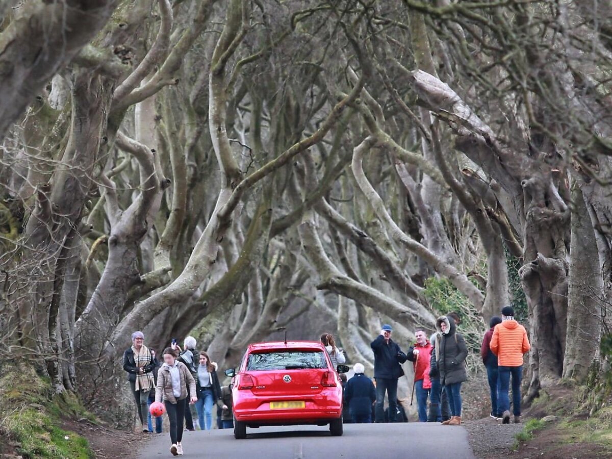 Игра престолов, света и тени: таинственная аллея Dark Hedges, деревья  которой посажены 250 лет назад | Tour2Go | Дзен