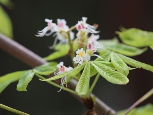 Источник фото: газета "Прибой"/m.vk.com