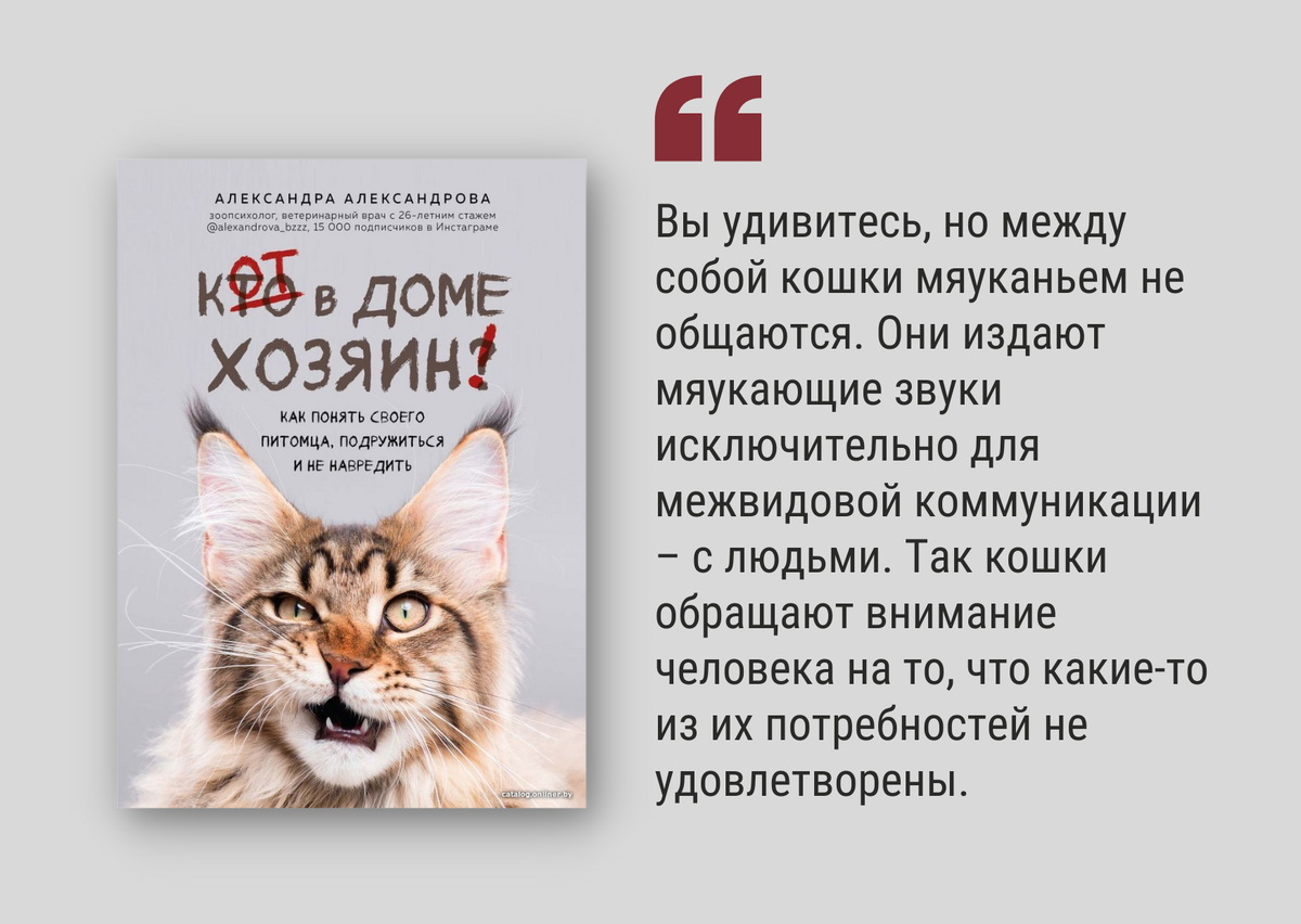 Книга язык кошек