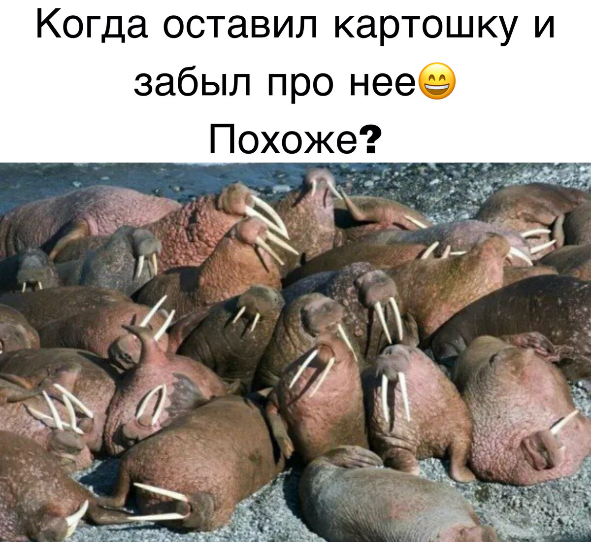 Последний день лета юмор