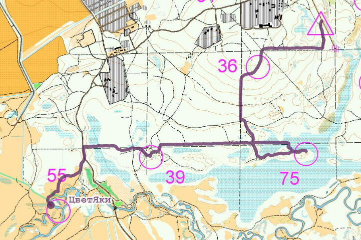 Начинаем спокойно. У 39го больше дорог, чем нарисовано, а на подходе к 55 знакомимся с пойменными полями (нормально, но медленно). Часть пути бежим бок о бок с победителями абсолютного формата 6 часов Женей и Сашей. Замечаем отдаляющуюся от нас команду Любимов-Бареев. Парни бегут очень мощно, заходят на 55 по дорогам с севера, опережая нас