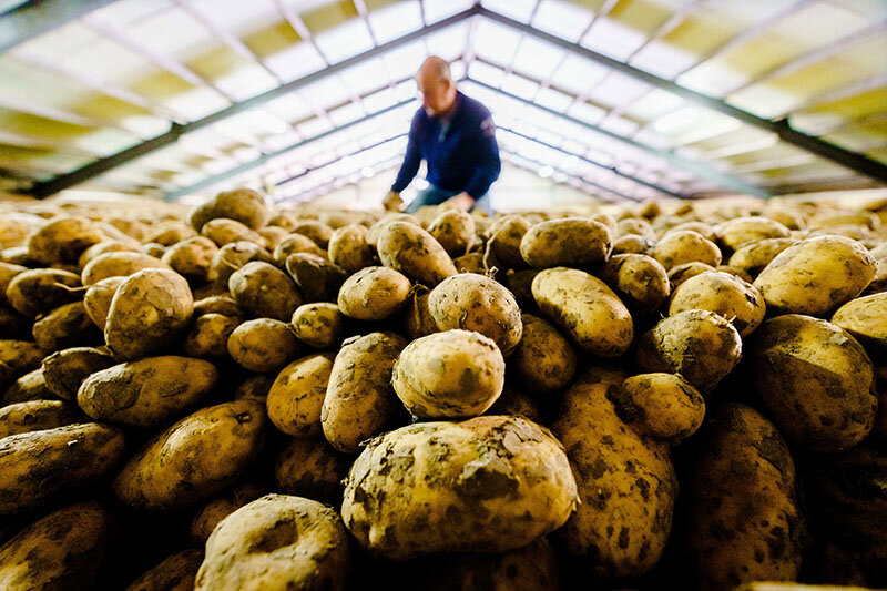    © MARCO DE SWART/EPA/ТАСС