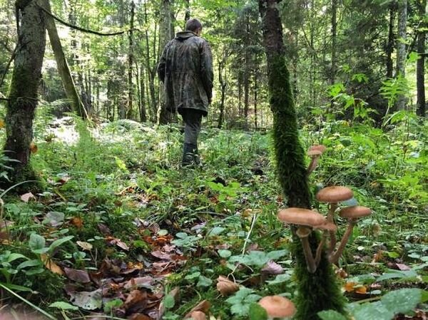 Источник фото: Яндекс Новости