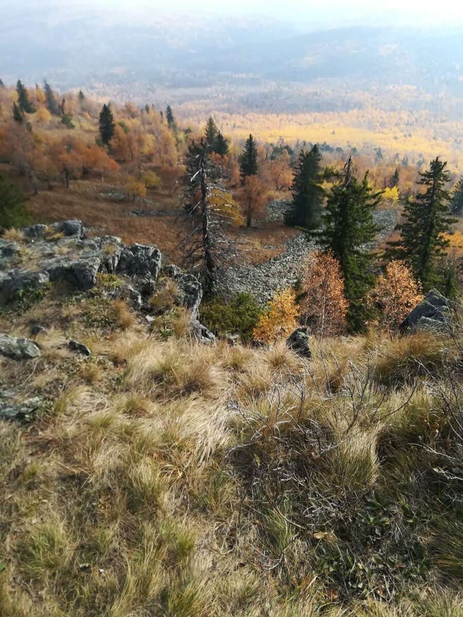 Вид с Малиновой