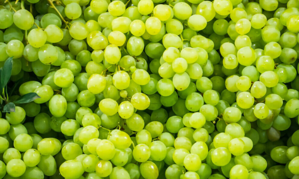    Диетолог указала на необычные свойства винограда