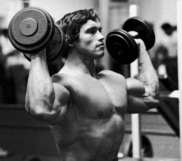 Источник фотографии: Яндекс картинки 