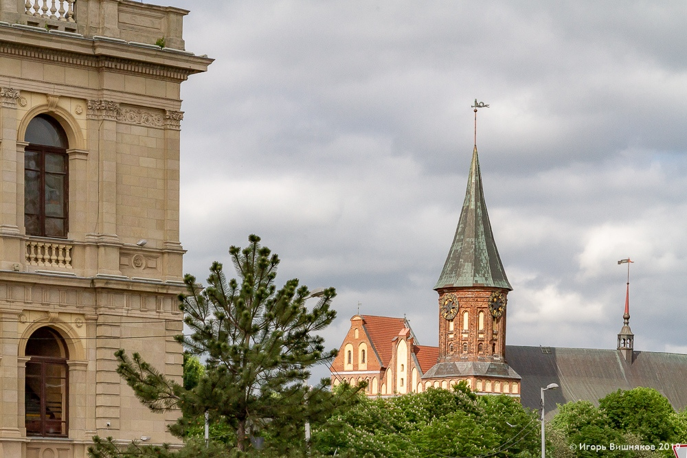 Игорь Вишняков