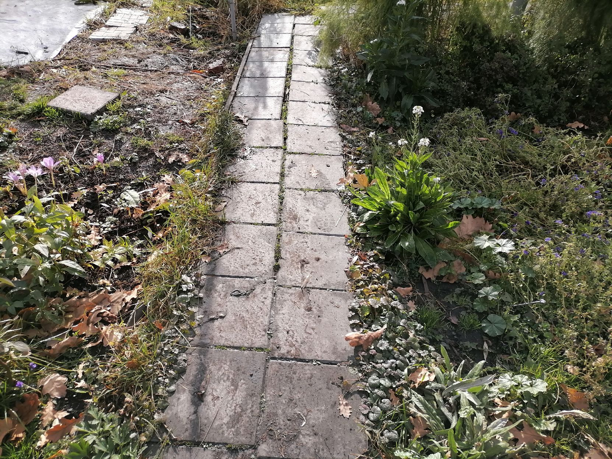 Расползаются плитки, нет бордюров