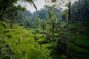    фото: unsplash.com Вера Беляева
