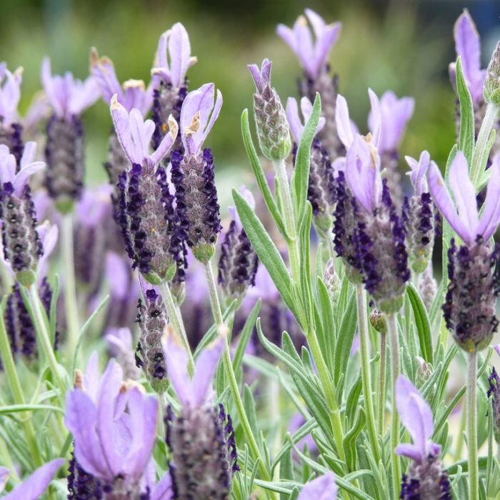 Источник фото - https://inlnk.ru/po6ldk