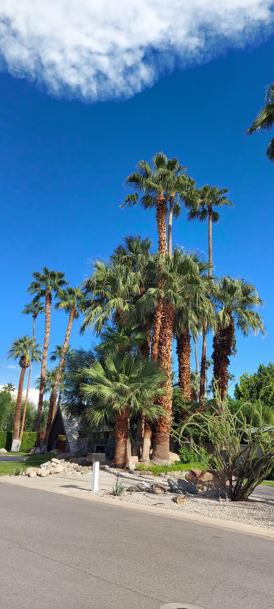 Фото из личного архива автора. 