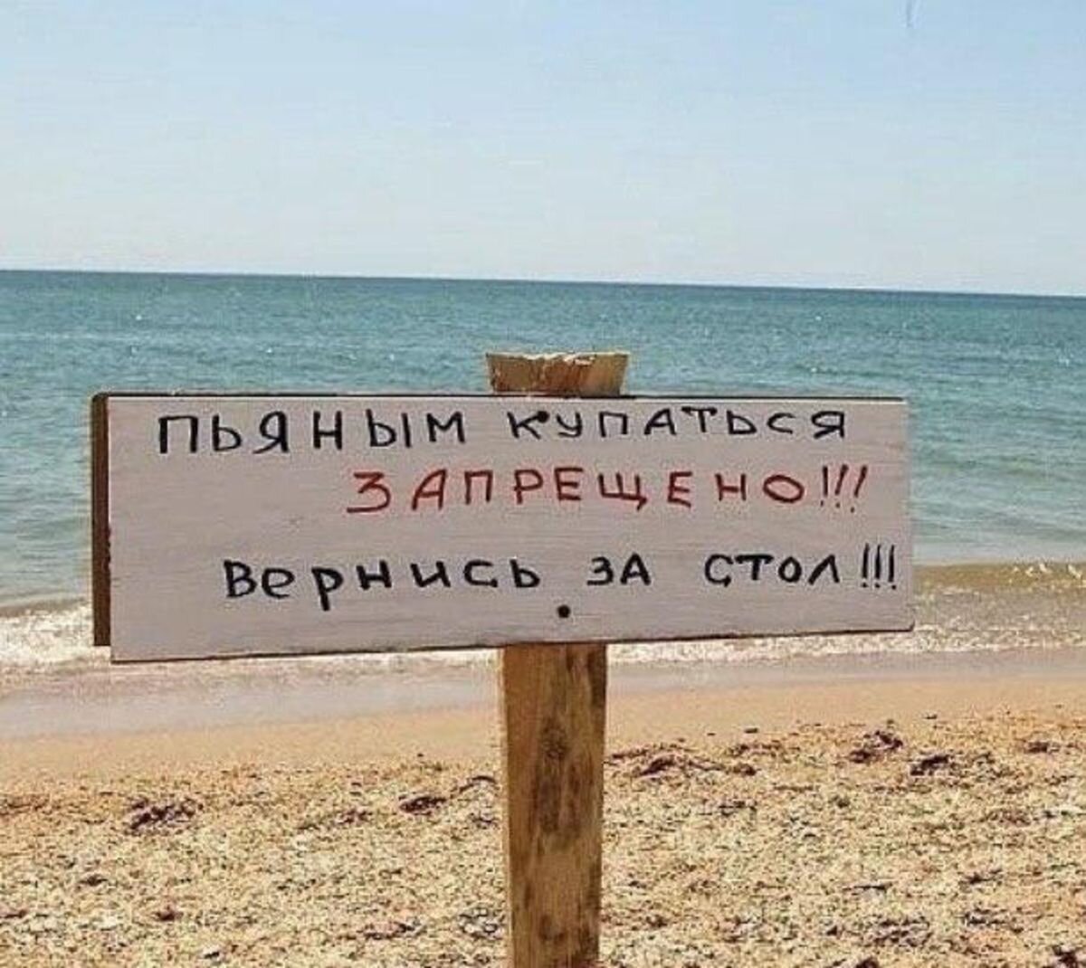 Юмор про отдых на море картинки прикольные