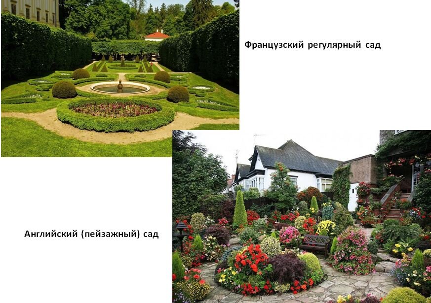 Сравнение французского и английского стиля ландшафтных дизайнов