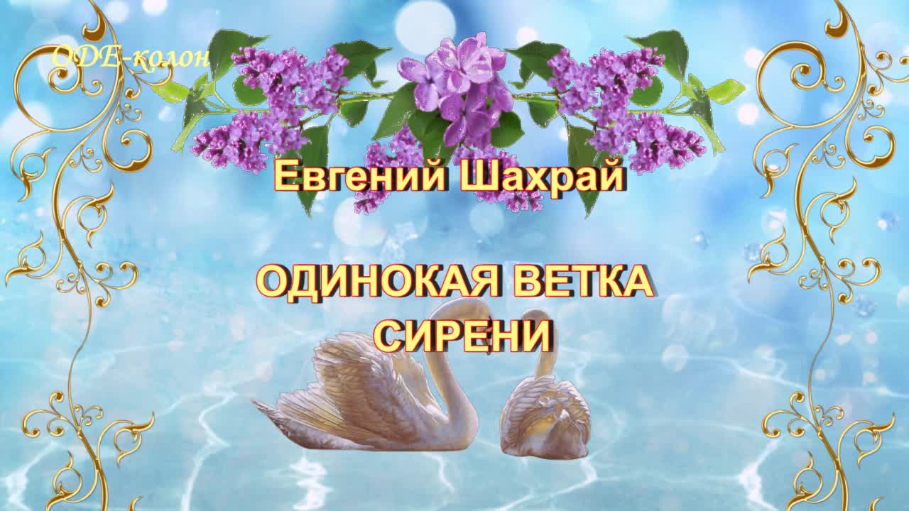 Одинокая ветка ремиксы