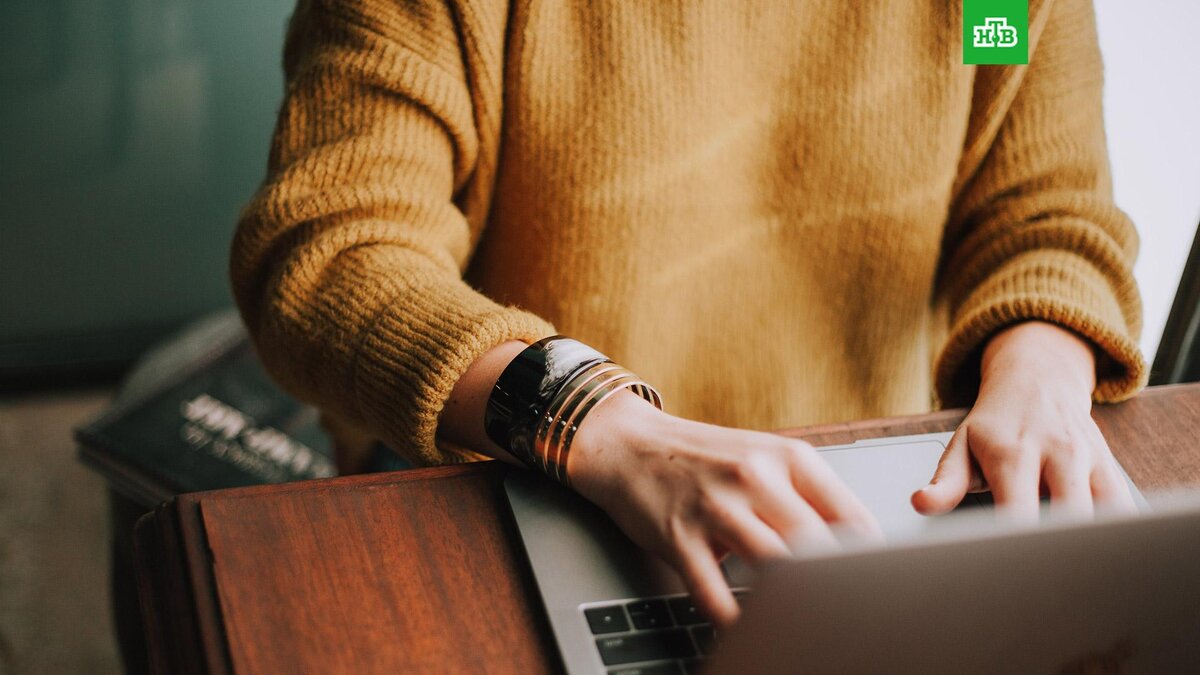    Фото: Christin Hume / unsplash.com