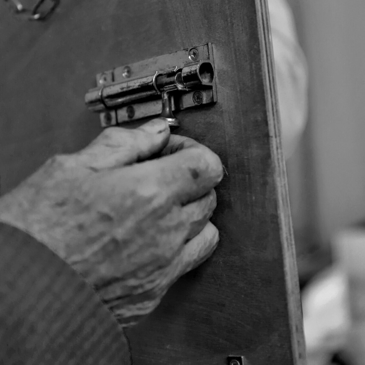 Фото: Александр Панов.