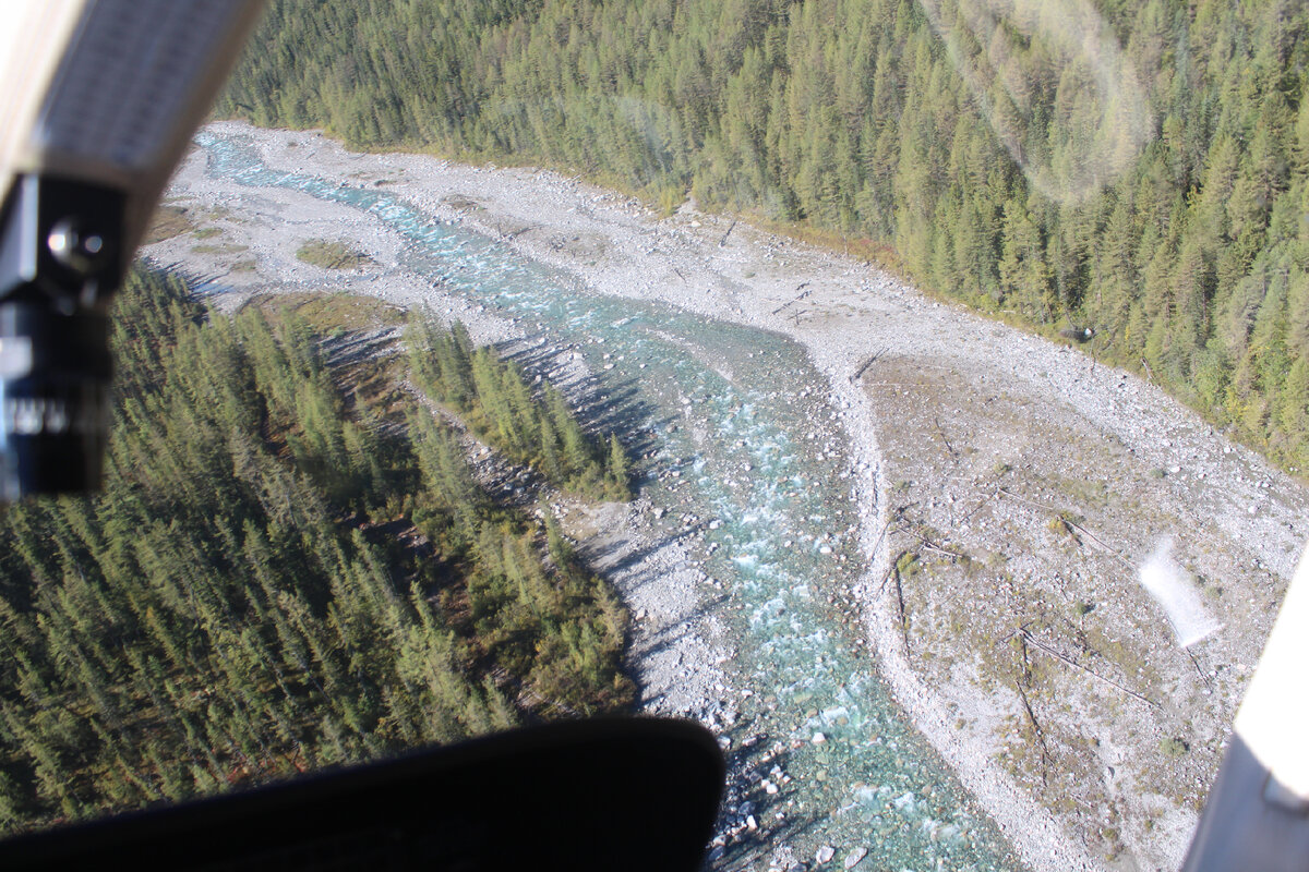 над Шумаком